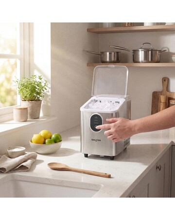 Salter Stainless Steel Ice Cube Maker