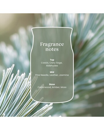 Yankee Candle Signature Large Silver Sage Pine