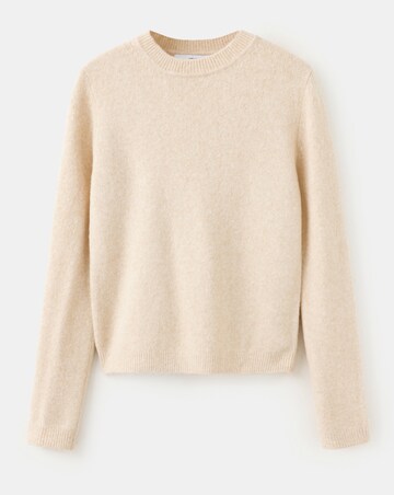 Mango Sweater Seeds