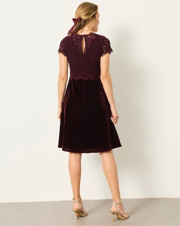 Fatface Thea Lace And Velvet Dress