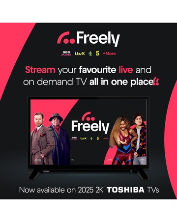 Toshiba 24WV2553DB 24in HD TV with Freely