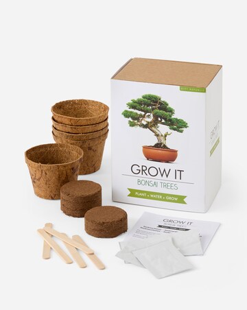 Bonsai Tree Grow It