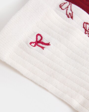 Pretty Secrets (5 Pair Pack) Bow Textured Ankle Socks