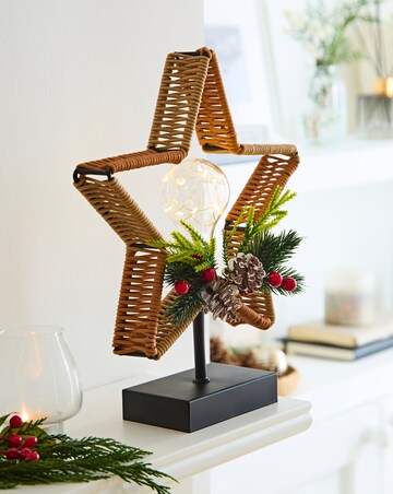 Star Wicker Bulb with Floirstry Light