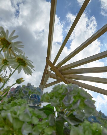 Forest Premium Radial Pergola (Home Delivery)