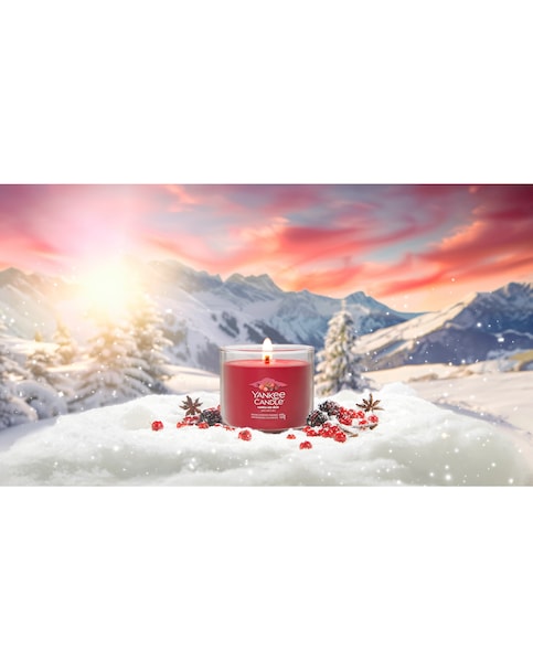 YC Signature Small Tumbler Santa Skis