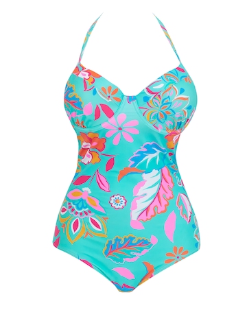 Padded Underwired Plunge Swimsuit