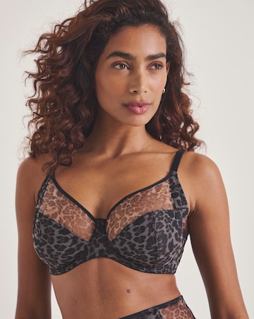 Pretty Secrets (2 Pack) Hannah Heart & Animal Print Full Cup Bras (B-G)