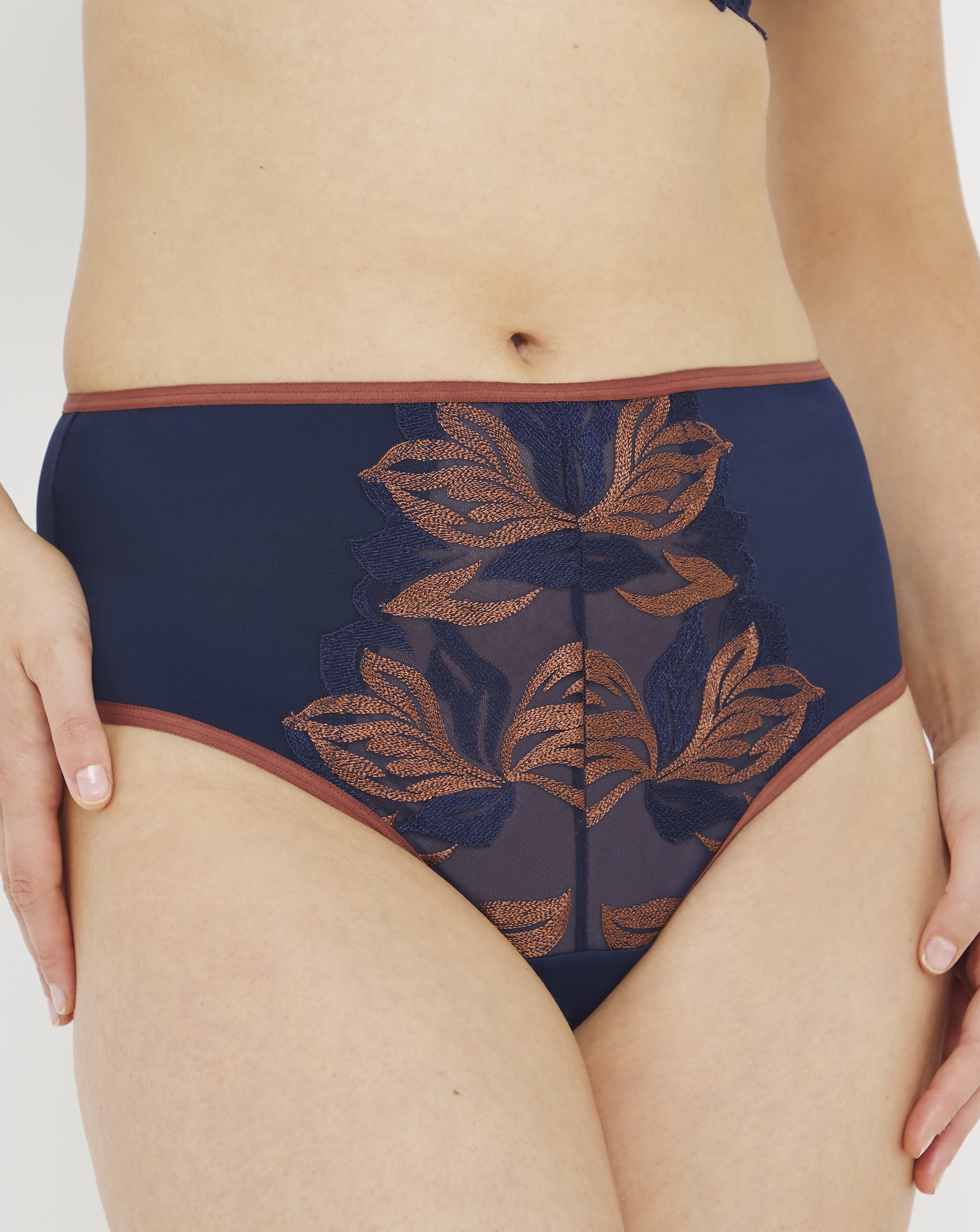 Close up of full briefs