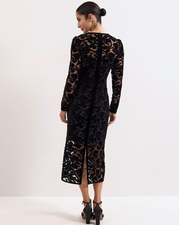 Phase Eight Viktoria Applique Velvet Midi Dress