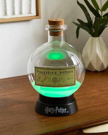 Harry Potter Large Potion Lamp - 20cm Tall