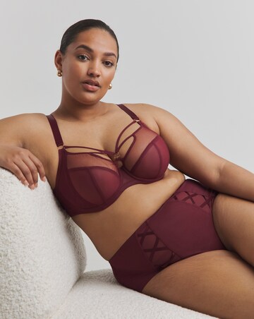 Elomi Sachi Full Fit Knicker Cabernet