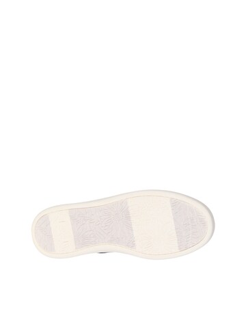 Skechers Black Bobs D'Vine Slip In Trainer -Standard Fit (D)