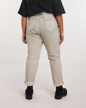 Vintage Wash Slim Mom Jean