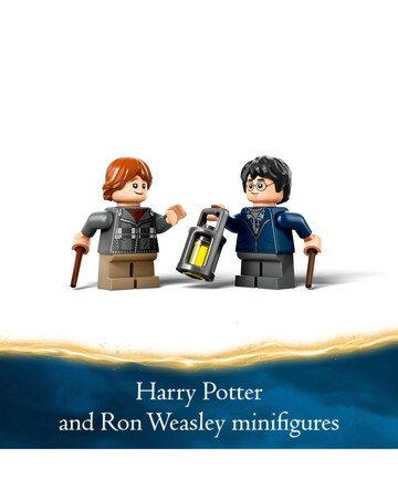 LEGO Harry Potter Aragog in the Forbidden Forest 76434