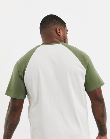 3 Pack Multi Raglan T-Shirts