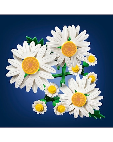 LEGO Botanicals Daisies 11508
