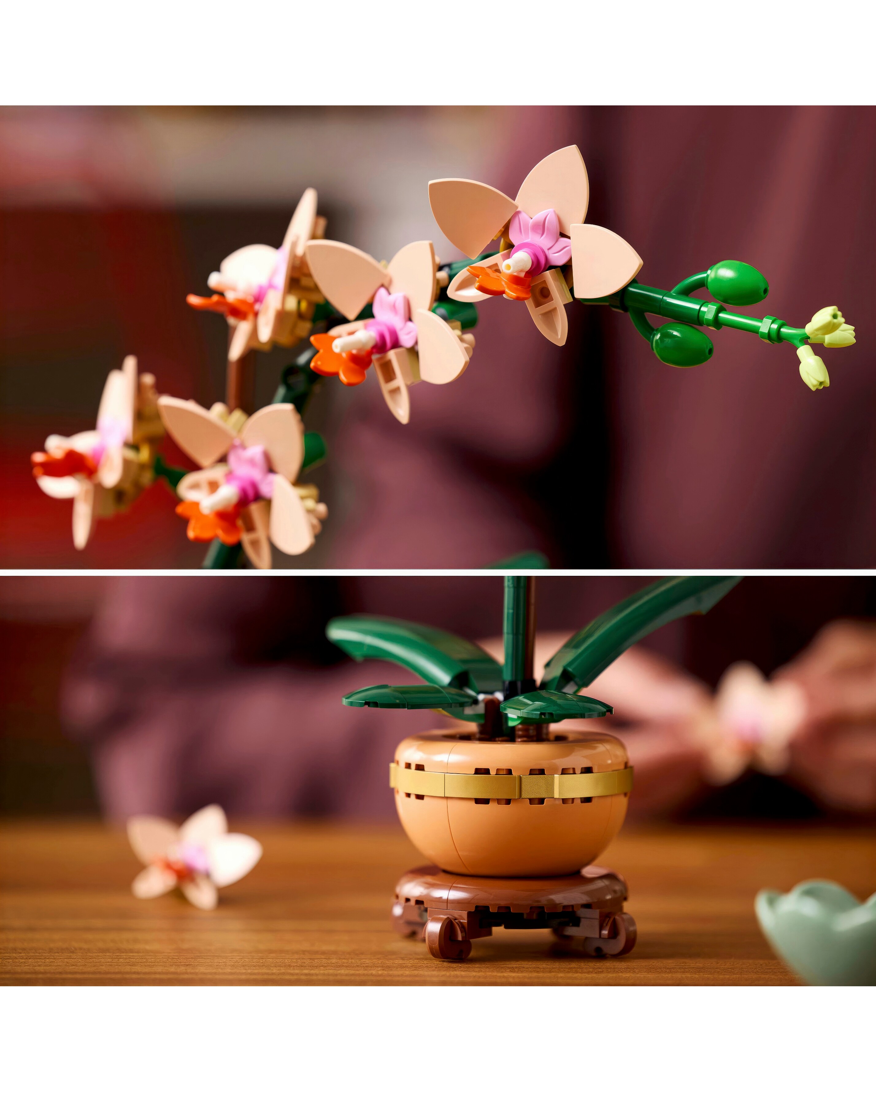 LEGO Botanicals Mini Orchid 10343 | Ambrose Wilson