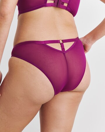 Simply Be Sexy Lace and Mesh Brazilian Brief