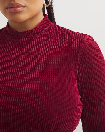 Burgundy Textured Velour High Neck Top
