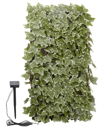 Solar Inlit IvyTrellis