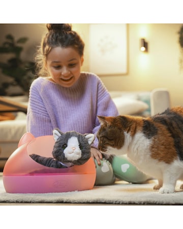 BABY born My Cat Cookie