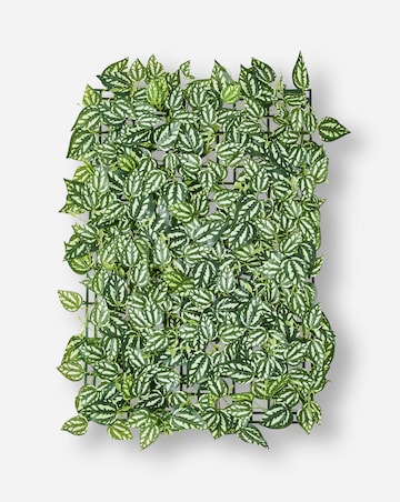 Luscious Leaf Screening Panel