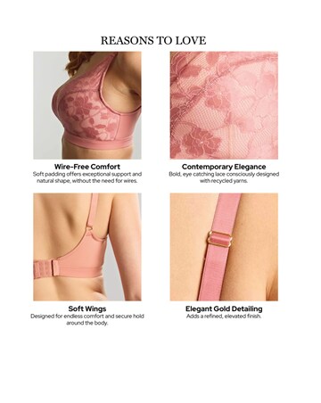 Panache Amour Non Wired Rose Pink Soft Padded Lace Bra