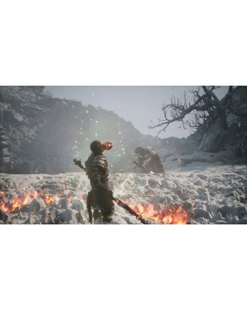 Black Myth: Wukong (PS5)