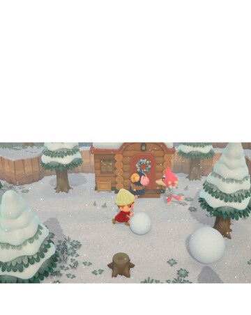 Animal Crossing New Horizons (Nintendo Switch)