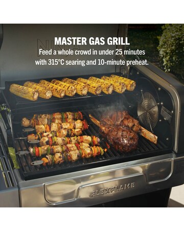 Ninja FlexFlame Outdoor Cooking System Barbecue PG301UK Black/ Silver