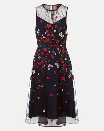Phase Eight Sloane Mesh Ditsy Floral Dress