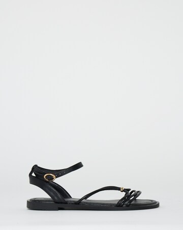 Toni Strappy Hardware Detail Flat Sandals - Wide Fit (E)