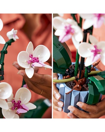 LEGO Orchid Plant & Flowers Set, Botanical Collection 10311