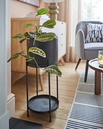 Gray & Osbourn Metal Planter with Stand