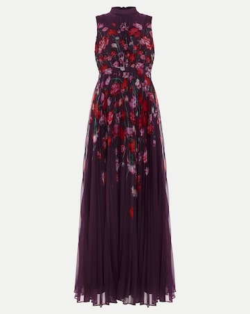 Phase Eight Dahlia Floral Maxi Dress