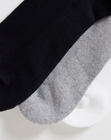 VANS Classic Check Crew 3Pk Socks