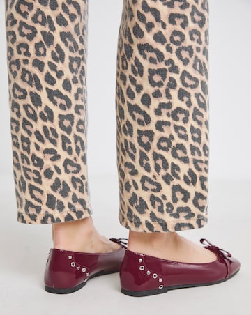 Catania Studded Bow Ballerina Shoes - Wide Fit (E)