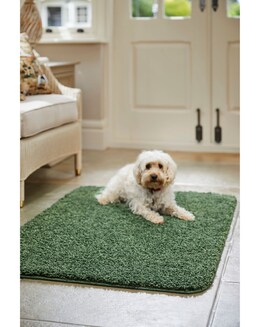 Buddy Washable &amp; Stain Resistant Rug