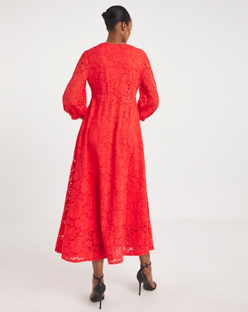 Joanna Hope Stretch Lace Dress