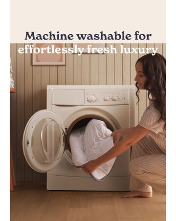 Sleepeezee Sumptuous Cotton Pillow