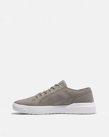 Timberland Seneca Bay Low Lace Sneaker - Light Taupe