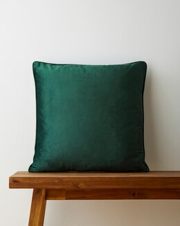 Velvet Cushion