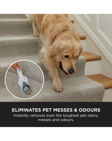 Shark StainStriker Max Spot Washer with TruePet PX200UKT