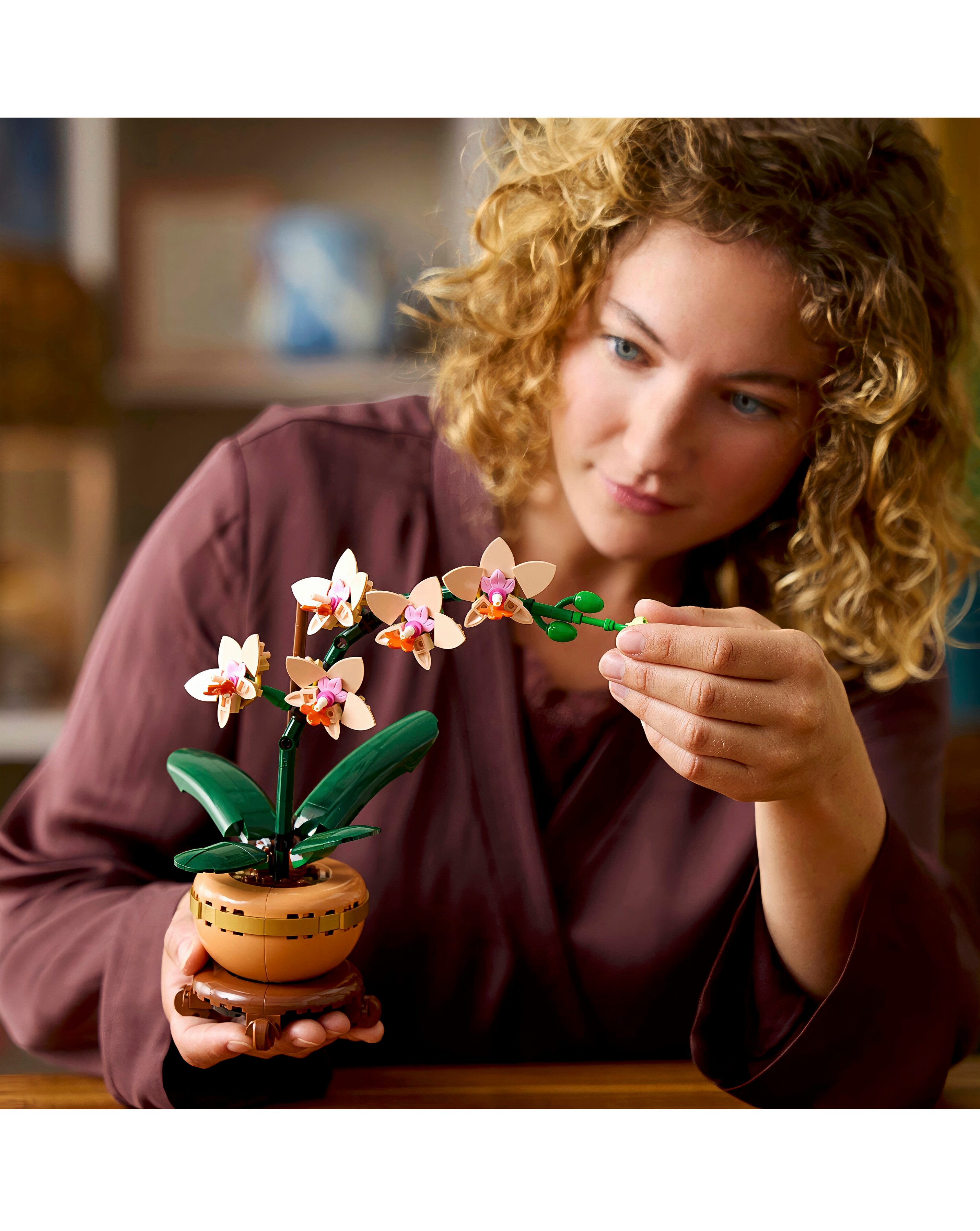 LEGO Botanicals Mini Orchid 10343 | Ambrose Wilson