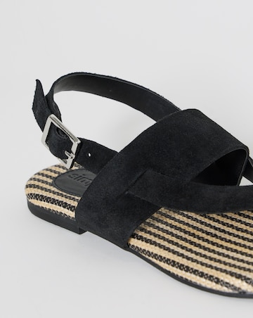 Catalina Suede Toe Post Sandals - Wide Fit (E)