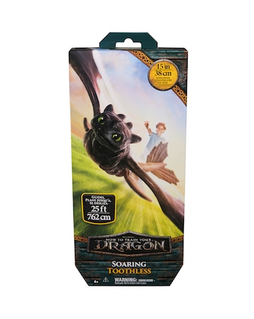 How to Train Your Dragon Soaring Toothless