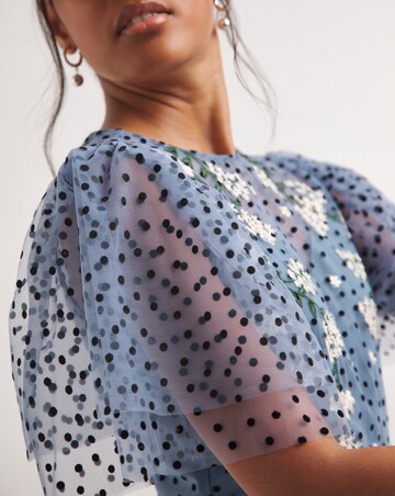 Joanna Hope Mesh Spot Midi Dress