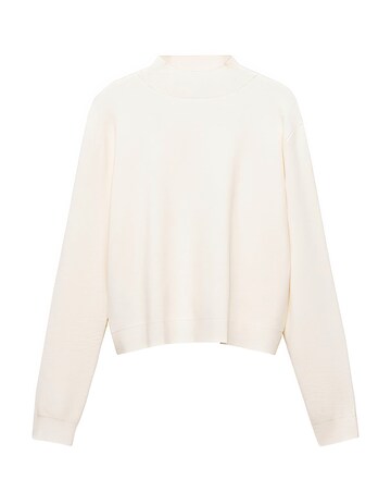 Mango Tentacio High Neck Sweater