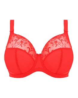 Elomi Charley Plunge Wired Bra Salsa